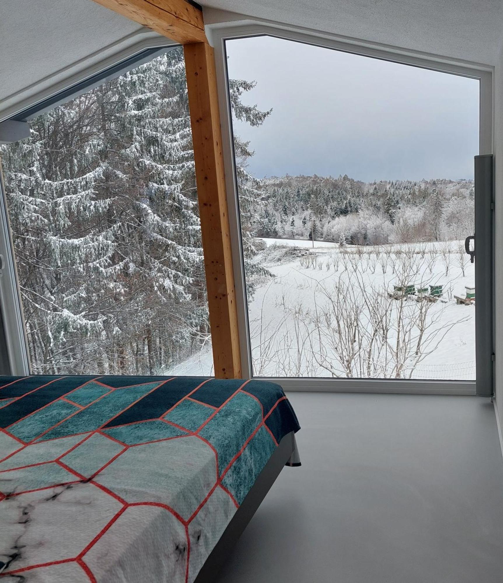 Appartement Beim Bergjosl à Kirchbach in Steiermark Extérieur photo